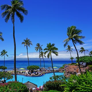 Primary Care in Paradise 2027 Banner